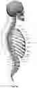 Fig. 10 - Device for releasing spinal contractures and associated methods