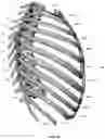 Fig. 11 - Device for releasing spinal contractures and associated methods