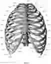 Fig. 12 - Device for releasing spinal contractures and associated methods