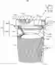 Fig. 01 - Personalized medication dispenser