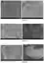 Fig. 02 - COSMETIC COMPOSITION COMPRISING AN ORDERED POROUS MATERIAL FOR REDUCING THE VISIBLE AND/OR TACTILE IRREGULARITIES OF THE SKIN