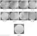 Fig. 04 - SKIN CARE COMPOSITIONS AND METHODS