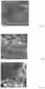 Fig. 06 - IMPROVEMENT IN OR RELATING TO ORGANIC COMPOUNDS