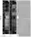 Fig. 13 - COSMETIC COMPOSITION