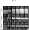 Fig. 18 - COSMETIC COMPOSITION