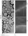 Fig. 19 - COSMETIC COMPOSITION