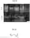 Fig. 25 - COSMETIC COMPOSITION