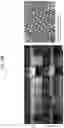 Fig. 29 - COSMETIC COMPOSITION