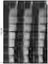 Fig. 32 - COSMETIC COMPOSITION