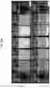 Fig. 34 - COSMETIC COMPOSITION