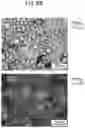 Fig. 47 - COSMETIC COMPOSITION