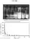 Fig. 48 - COSMETIC COMPOSITION