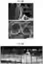 Fig. 49 - COSMETIC COMPOSITION