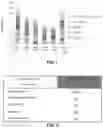Fig. 02 - COSMETIC COMPLEX FOR BIOACTIVE HYDRATION, COSMETIC COMPOSITION, USE AND METHOD