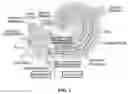 Fig. 02 - SELF-GELLING SOLUTIONS FOR ADMINISTRATION OF THERAPEUTICS TO THE INNER EAR