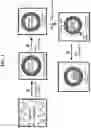 Fig. 03 - NANOPARTICLE ARSENIC-PLATINUM COMPOSITIONS