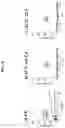 Fig. 07 - NANOPARTICLE ARSENIC-PLATINUM COMPOSITIONS