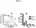 Fig. 09 - NANOPARTICLE ARSENIC-PLATINUM COMPOSITIONS