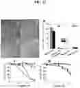 Fig. 13 - NANOPARTICLE ARSENIC-PLATINUM COMPOSITIONS