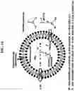 Fig. 15 - NANOPARTICLE ARSENIC-PLATINUM COMPOSITIONS