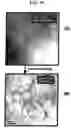 Fig. 20 - NANOPARTICLE ARSENIC-PLATINUM COMPOSITIONS