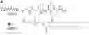 Fig. 01 - Functional nanostructure