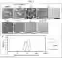 Fig. 03 - Functional nanostructure