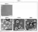 Fig. 04 - Functional nanostructure