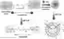 Fig. 01 - Expansile crosslinked polymersome for ph-sensitive delivery of anticancer drugs