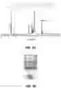 Fig. 04 - Expansile crosslinked polymersome for ph-sensitive delivery of anticancer drugs