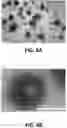 Fig. 07 - Expansile crosslinked polymersome for ph-sensitive delivery of anticancer drugs