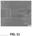 Fig. 12 - Expansile crosslinked polymersome for ph-sensitive delivery of anticancer drugs