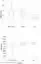 Fig. 07 - Oral dosage form