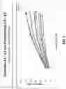Fig. 04 - Directly compressible composition comprising microcrystalline cellulose