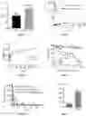 Fig. 04 - Nanomaterials with enhanced drug delivery efficiency