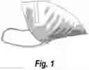 Fig. 02 - Mint mask and methods of use thereof
