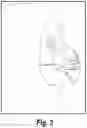 Fig. 04 - Mint mask and methods of use thereof