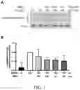 Fig. 02 - Method for treating a neurodegenerative disorder