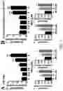 Fig. 03 - Method for Treating a Brain Cancer