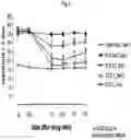 Fig. 03 - PARENTERAL ADMINISTRATION OF TAPENTADOL