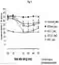 Fig. 05 - PARENTERAL ADMINISTRATION OF TAPENTADOL
