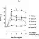 Fig. 06 - PARENTERAL ADMINISTRATION OF TAPENTADOL