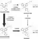 Fig. 01 - TOPICAL COMPOSITIONS AND METHODS FOR TREATMENT