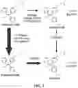 Fig. 02 - TOPICAL COMPOSITIONS AND METHODS FOR TREATMENT
