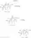 Fig. 04 - [2.2.2] bicyclic derivatives and methods of use