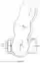 Fig. 04 - Pharmaceutical suspensions containing drug particles, devices for their administration, and methods of their use