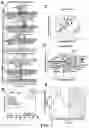 Fig. 02 - Methods For Assessing Risk Of Cardiovascular Disease And Methods And Compounds For Use In Treating Or Preventing Cardiovascular Disease
