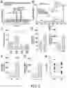 Fig. 07 - Methods For Assessing Risk Of Cardiovascular Disease And Methods And Compounds For Use In Treating Or Preventing Cardiovascular Disease