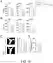 Fig. 11 - Methods For Assessing Risk Of Cardiovascular Disease And Methods And Compounds For Use In Treating Or Preventing Cardiovascular Disease