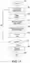 Fig. 12 - Methods For Assessing Risk Of Cardiovascular Disease And Methods And Compounds For Use In Treating Or Preventing Cardiovascular Disease